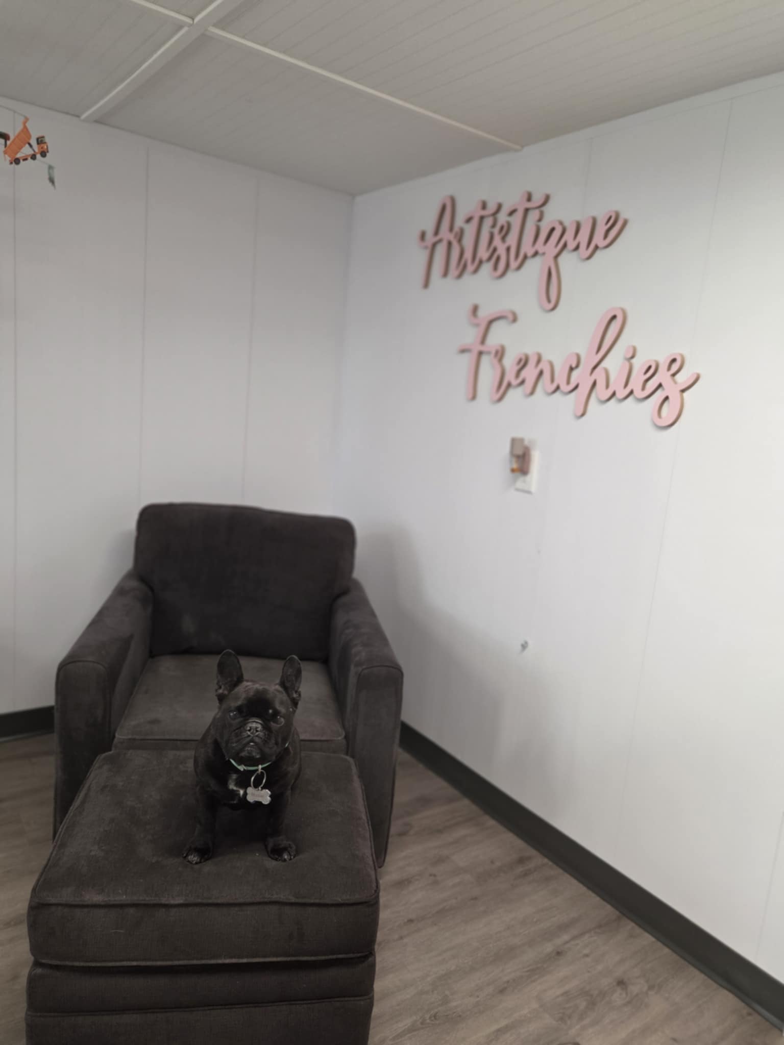 Artistique Acres Lodge - Moose Jaw - Dogs or Cats